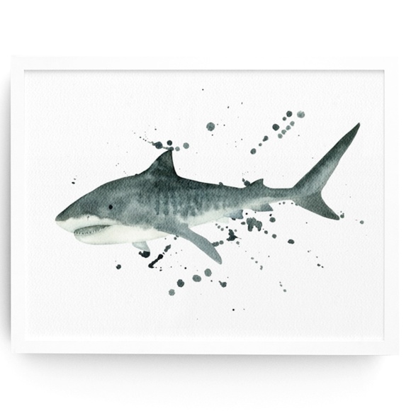 Other - Watercolor Tiger Shark Ocean Animal Wall Art Illustration Print Poster Unframed